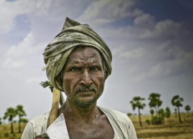 Власти Индии будут регулировать оборот микроудобрений