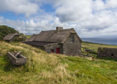 Ирландия просит отменить пошлины на импорт агрохимикатов