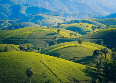 Вьетнам может ограничить экспорт карбамида