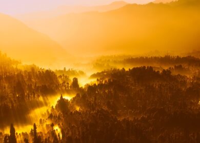 В Бразилии пытаются развивать добычу калийных солей