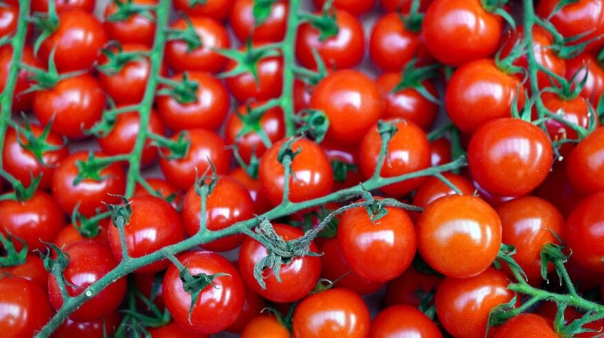AgroShield создала два биофунгицида