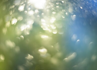 В США пестициды предложили заменить лучевой обработкой