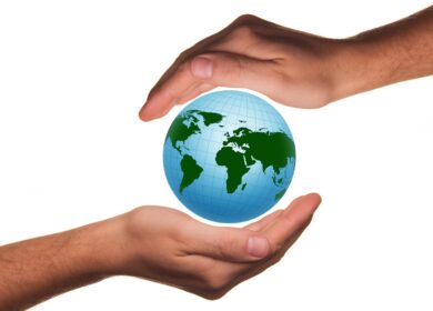 Certis Biologicals и Novozymes разработают новый биофунгицид