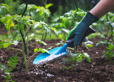 India Potash и Israel Chemicals договорились о поставках полисульфата калия