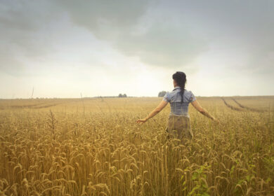 В США создадут новые сорта для секвестрации углерода