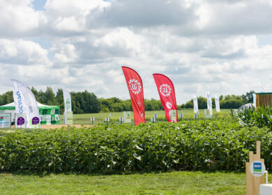 «Агроволга-2022» соберет гостей со всей России