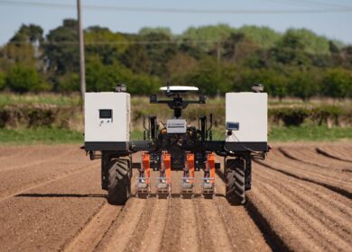 Кадровый голод на фермах утолят роботы