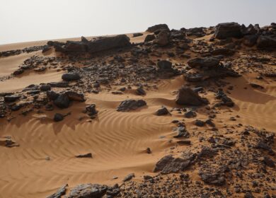 Восточная Африка столкнулась с отсутствием продовольственной безопасности