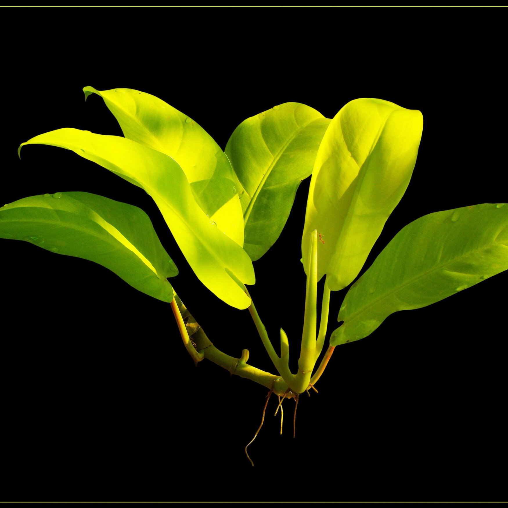 Groundwork BioAg стала акционером давнего партнера