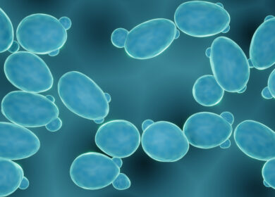 Пестициды придумали выявлять с помощью биологических сенсоров