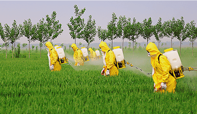 Coromandel делает ставку на средства защиты растений