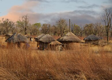 Гана развивает национальное сельское хозяйство