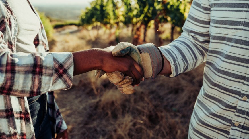 OCP Group решила помочь Руанде