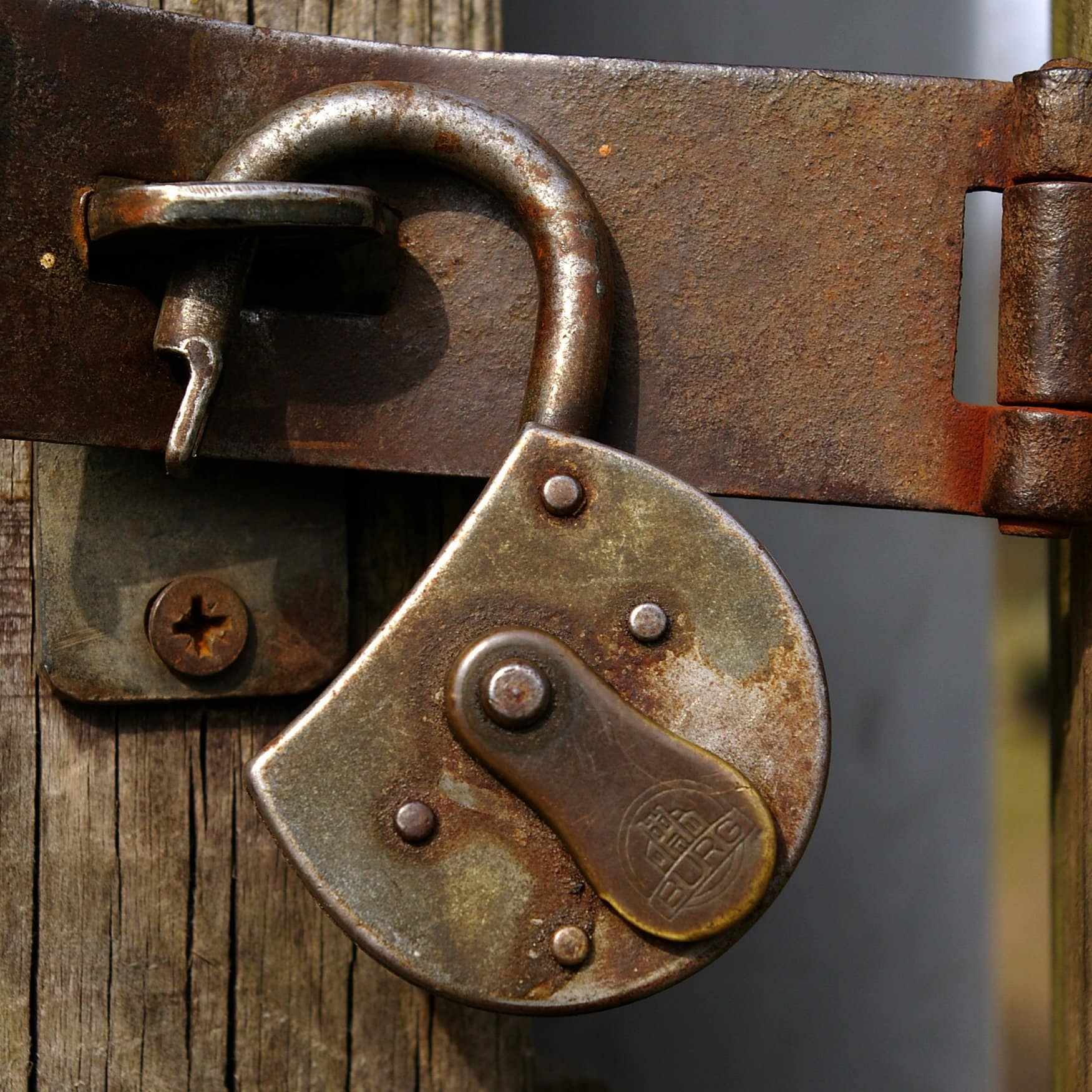 Perdaman Chemicals and Fertilizers отказывается от спорного проекта?