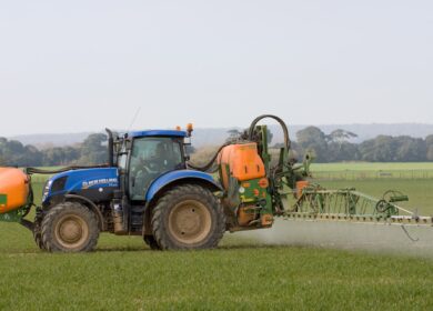 В США появился необычный законопроект