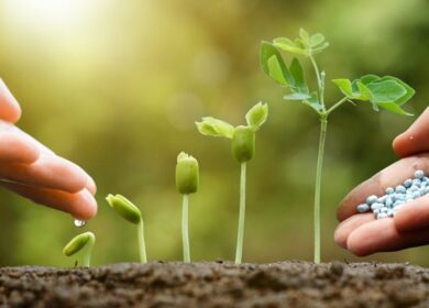 Закупки минеральных удобрений в Чувашии набирают темп