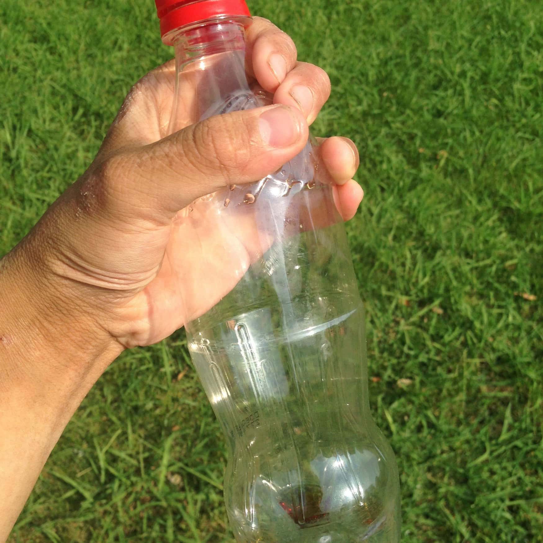 В Сингапуре извлекли фосфор с помощью бактерий