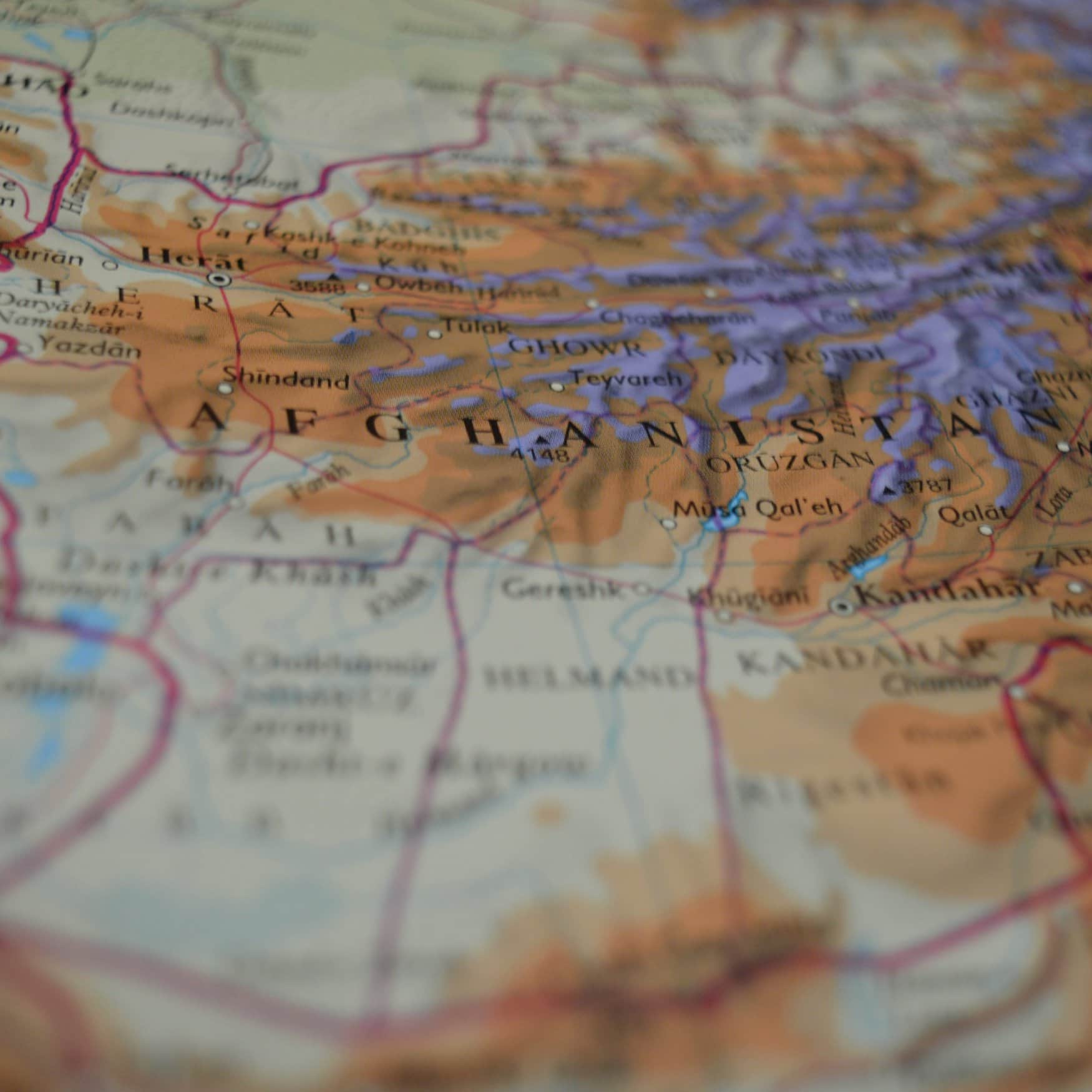 Афганская пшеница поможет защитить урожаи на планете