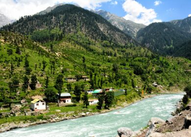 Пакистанские фермеры недовольны действиями поставщиков агрохимикатов