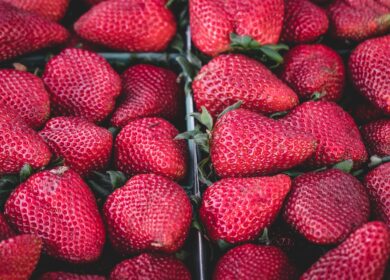 В США нашли способ борьбы с фузариозом