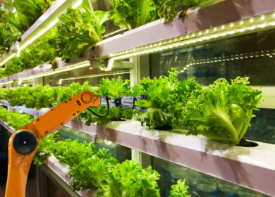 ОАЭ перейдет на импортозамещение