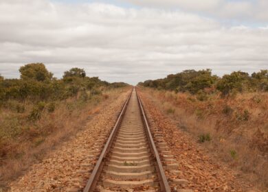 Стоимость агрохимикатов в Зимбабве пошла на спад