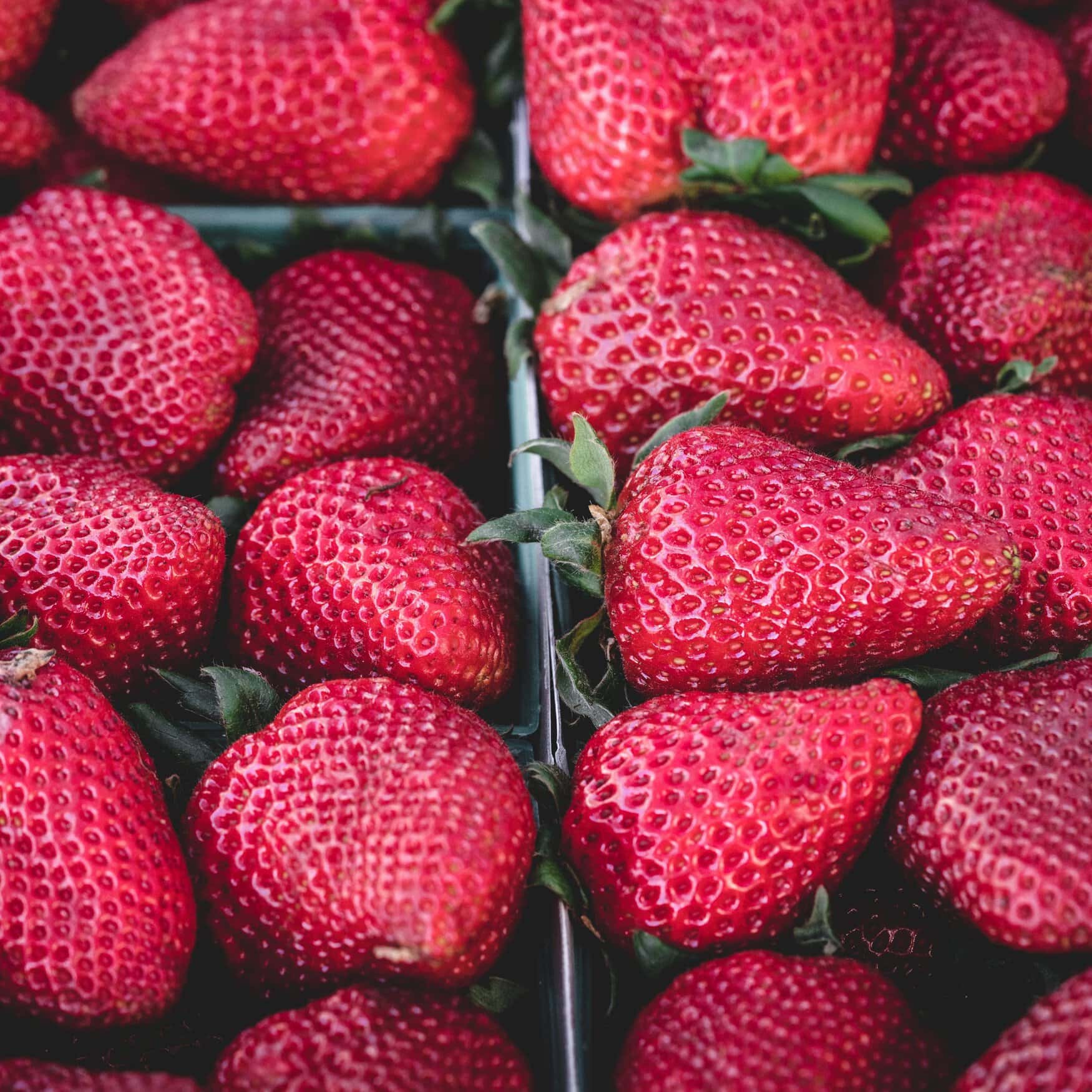 Micothon защитит клубнику с помощью ультрафиолета