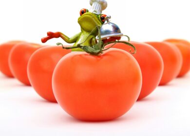 В Башкирии построят тепличный комплекс