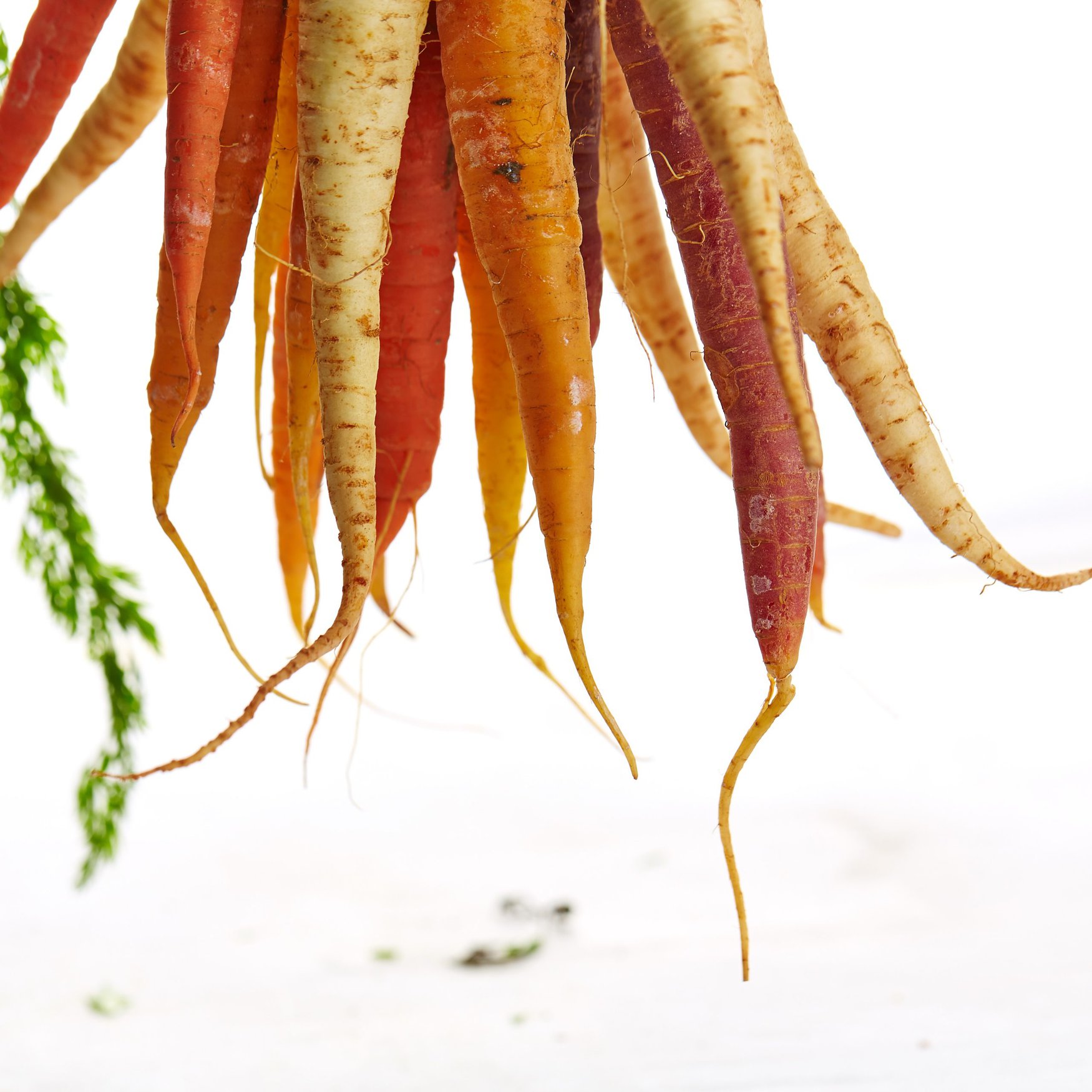 Evonik Industries планирует продажи нового биостимулятора