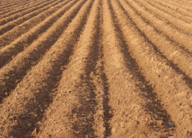 В Калининградской области ждут подорожания агрохимикатов