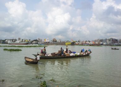 В Бангладеш не утихают страсти по поводу нехватки агрохимикатов
