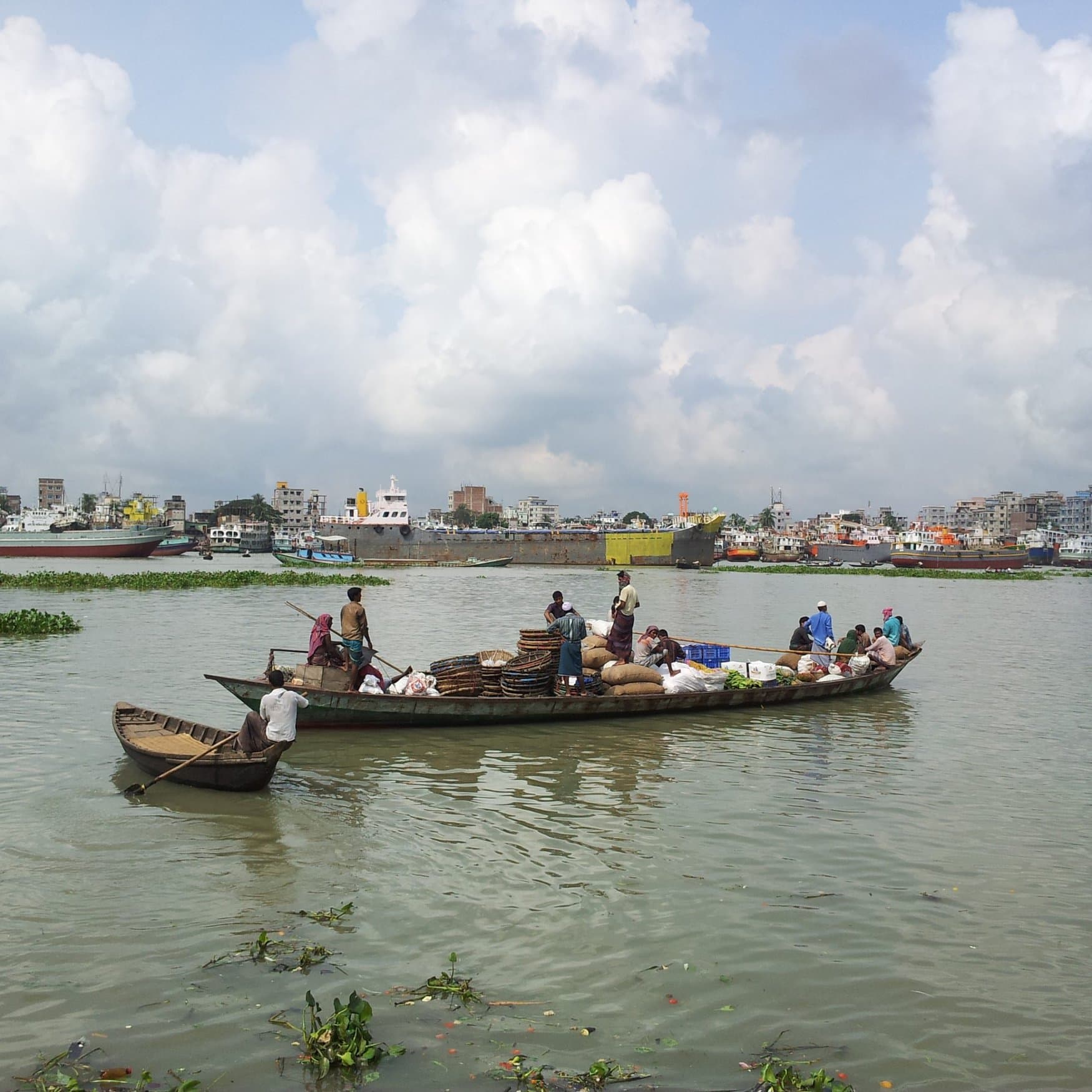 В Бангладеш не утихают страсти по поводу нехватки агрохимикатов