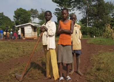 В Уганде нашли альтернативу минеральным удобрениям