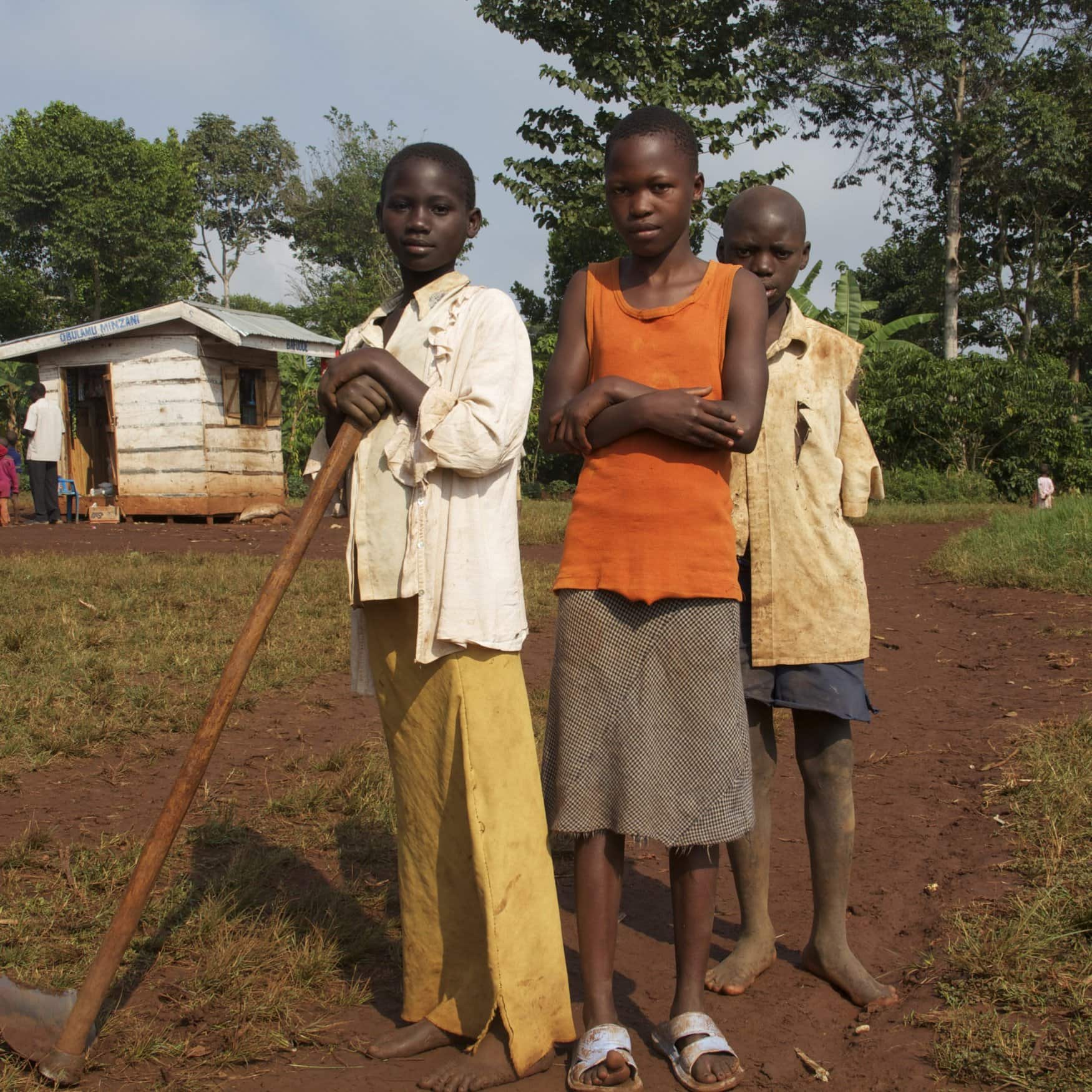 В Уганде нашли альтернативу минеральным удобрениям
