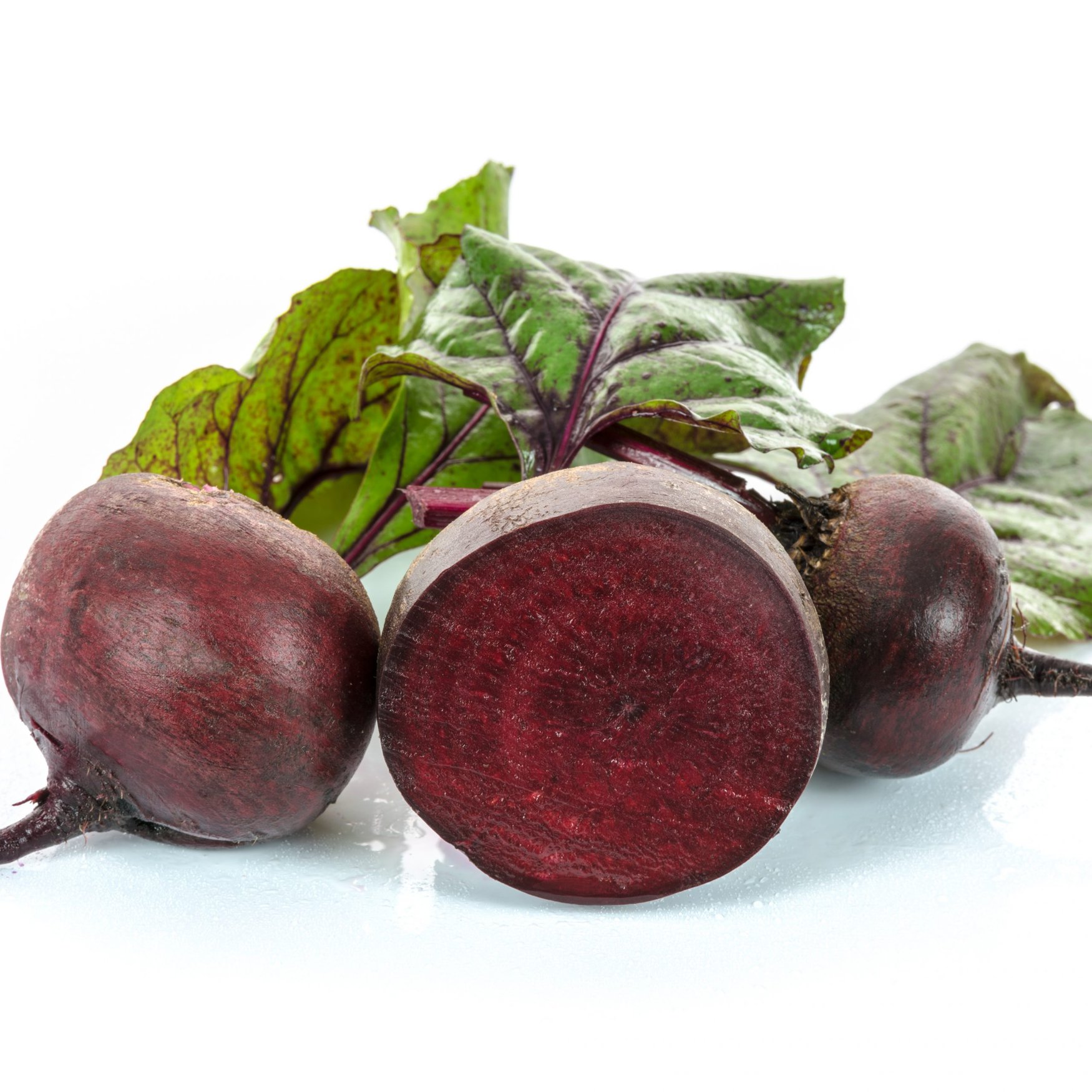 DLF Beet Seed планирует побороть желтуху свеклы