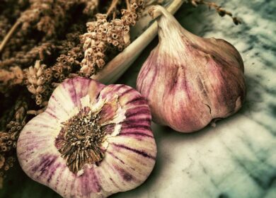 Peregrín и Kimitec Agro повысят урожайность чеснока