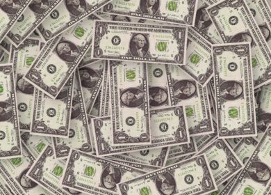 Elemental Excelerator вложится в Nitricity