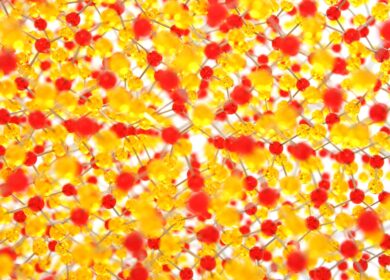 Yara и Oerth Bio будут модулировать белки