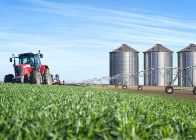 В Оренбургской области утроилось внесение агрохимикатов