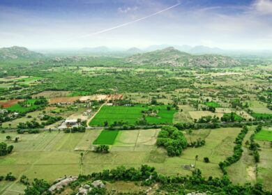 Индия делает ставку на цинк