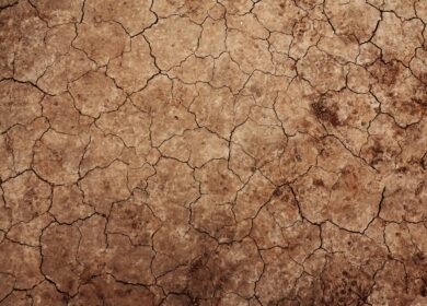 Из пахотных земель России растет вынос кальция и магния