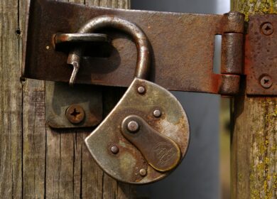 Дмитрий Мазепин призвал трейдеров восстановить экспорт аммиака