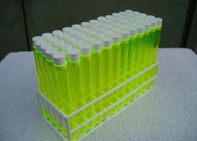 «ФосАгро» и «Сириус» укрепляют исследовательскую деятельность