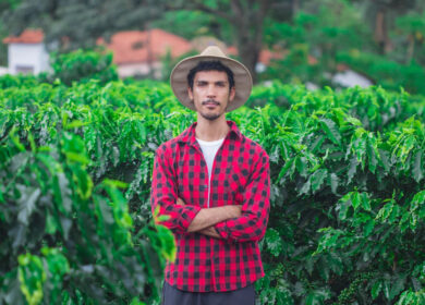 Syngenta расширит деятельность в Бразилии