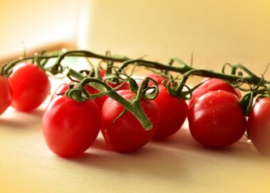 Дикие томаты будут использованы для защиты культурных сородичей