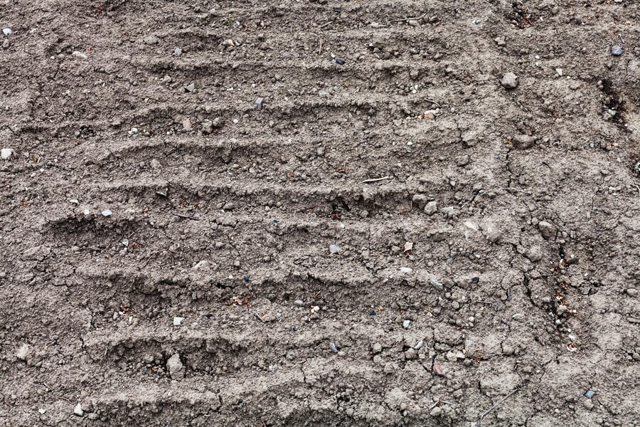 Посевные площади в Курганской области расширятся на 2,2%