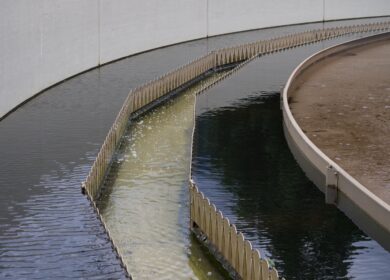 В Новой Зеландии хотят извлекать фосфор из сточных вод