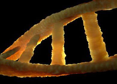 GreenLight Biosciences намерена задействовать РНК для защиты растений