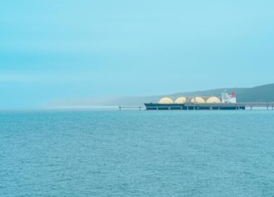 «Новатэк» будет поставщиком Deepak Fertilisers and Petrochemicals