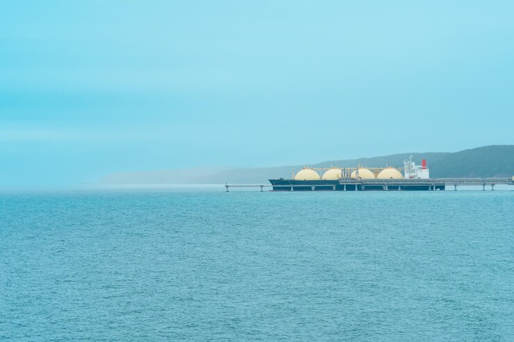 «Новатэк» будет поставщиком Deepak Fertilisers and Petrochemicals